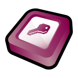 Microsoft Office Access Icon 256px png